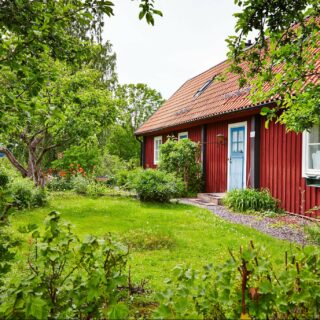 Gammalt rött trähus med blå dörr och lummig trädgård.