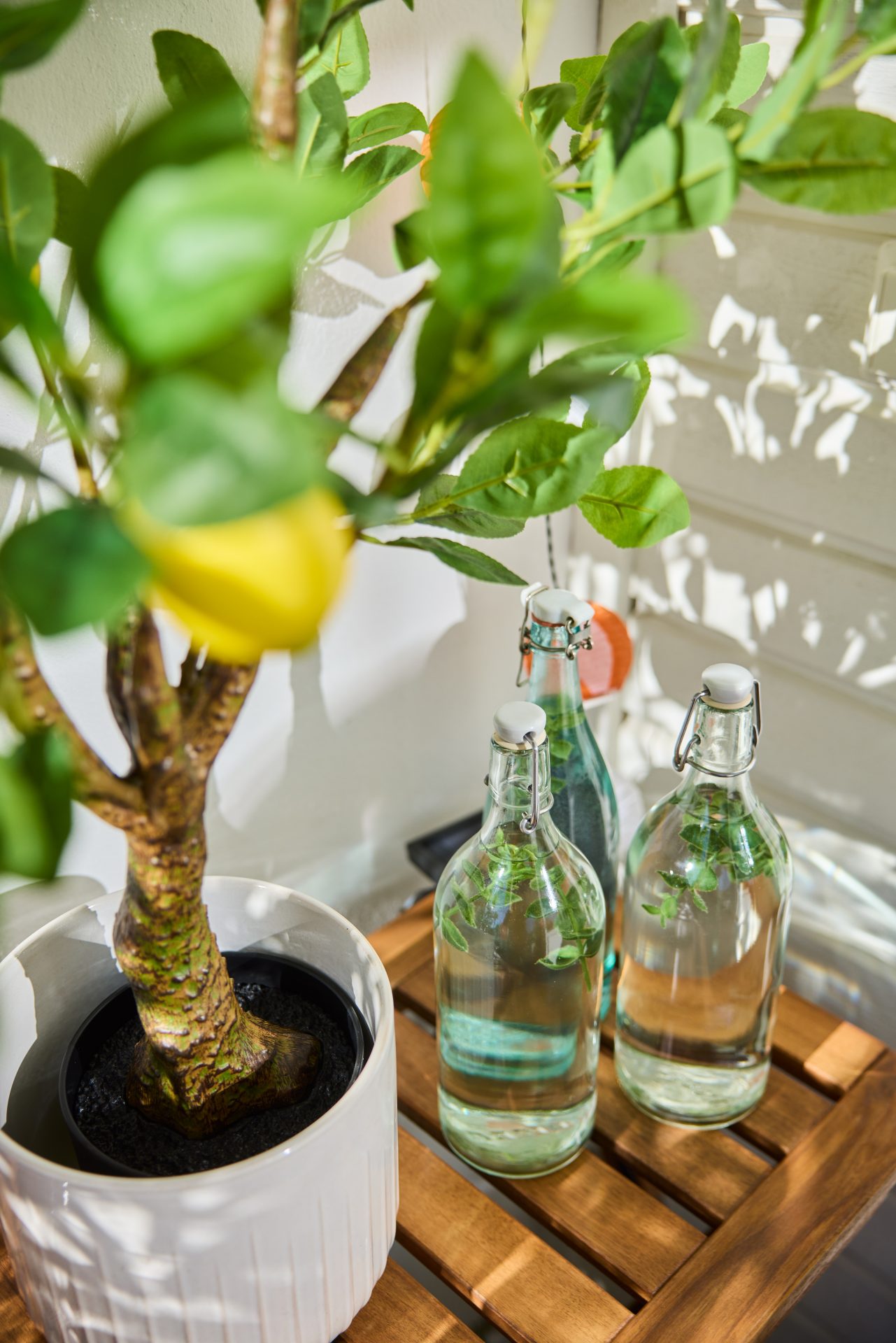 Ett citronträd och tre glasflaskor med vatten